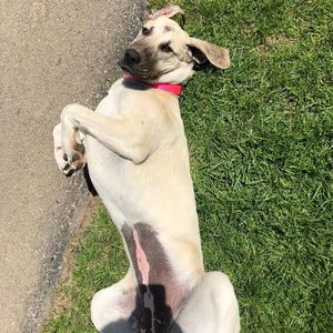 Meet your Posher, Jarrett